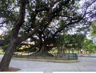 16 a0y. Argentina - Buenos Aires - morning run