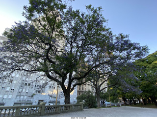 30 a0y. Argentina - Buenos Aires - morning run