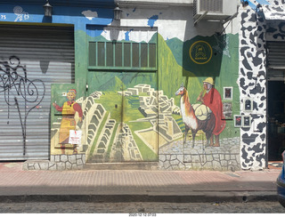 Argentina - Buenos Aires tour - mural