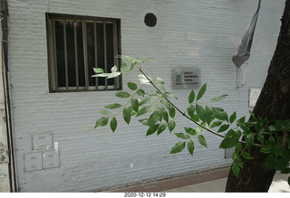 Argentina - Buenos Aires tour - jail?