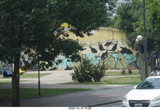 182 a0y. Argentina - Buenos Aires tour - mural