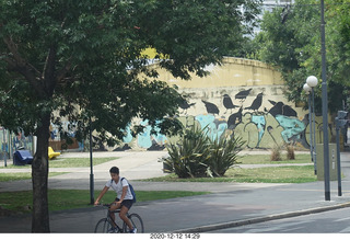 183 a0y. Argentina - Buenos Aires tour - mural