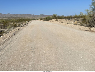 Alamo Lake run