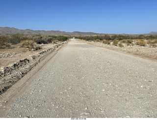 Alamo Lake run