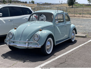 Seligman new VW beetle