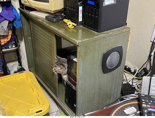 cat Potato in my computer cabinet