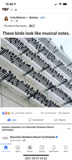 birds looking like musical notes