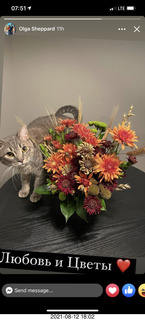 Olga's flowers and cat Potato