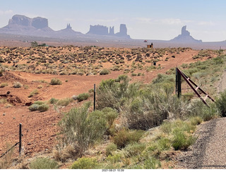 Monument Valley run