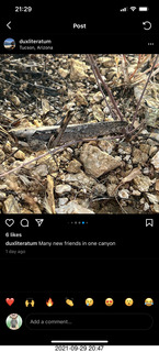 Princeton University Shapiro walk