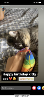 cat Potato birthday