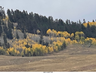 drive to North Rim