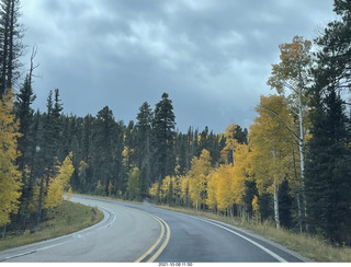 111 a18. drive to North Rim - yellow aspens