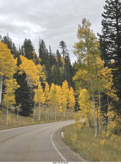 132 a18. drive to North Rim - yellow aspens