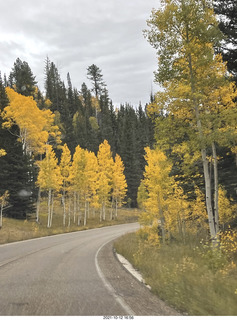 133 a18. drive to North Rim - yellow aspens