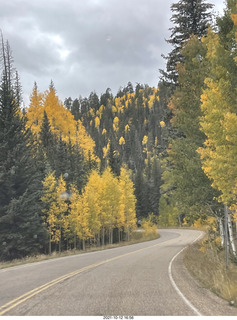 135 a18. drive to North Rim - yellow aspens