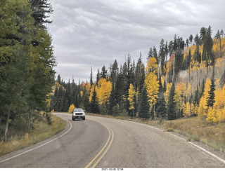 138 a18. drive to North Rim - yellow aspens