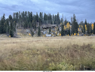 drive to North Rim - yellow aspens