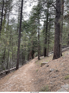 Grand Canyon North Rim - Widforss Trail