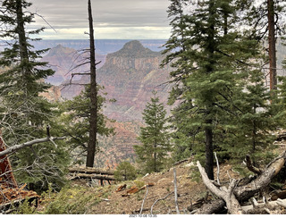 180 a18. Grand Canyon North Rim - Widforss Trail - vista view