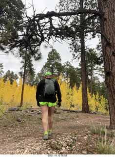 Grand Canyon North Rim - Widforss Trail - Adam back