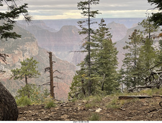 Grand Canyon North Rim - Widforss Trail - vista view