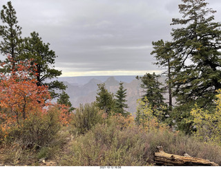 Grand Canyon North Rim - Widforss Trail - view