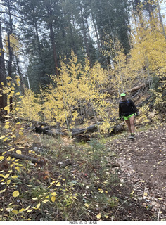 211 a18. Grand Canyon North Rim - Widforss Trail - Adam back - yellow aspens