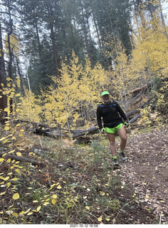 213 a18. Grand Canyon North Rim - Widforss Trail - Adam - yellow aspens