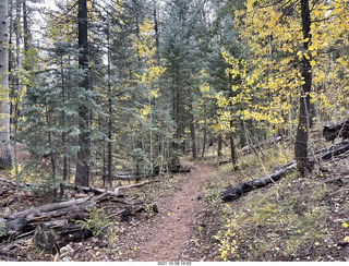 Grand Canyon North Rim - Widforss Trail - vista view