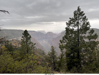 Grand Canyon North Rim - Widforss Trail - vista view