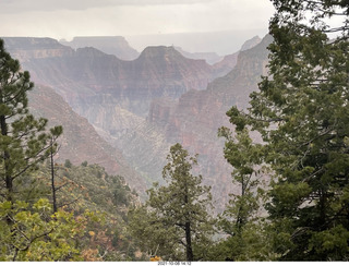 Grand Canyon North Rim - Widforss Trail - Adam back - yellow aspens