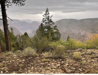 Grand Canyon North Rim - Widforss Trail - vista view