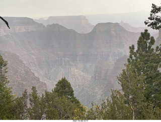 224 a18. Grand Canyon North Rim - Widforss Trail - vista view