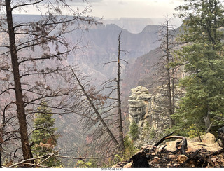 234 a18. Grand Canyon North Rim - Widforss Trail - vista view