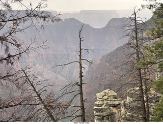 Grand Canyon North Rim - Widforss Trail - vista view