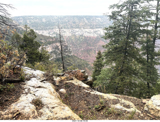 Grand Canyon North Rim - Widforss Trail - vista view - Adam back