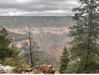 Grand Canyon North Rim - Widforss Trail - vista view - Adam