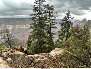 238 a18. Grand Canyon North Rim - Widforss Trail - vista view