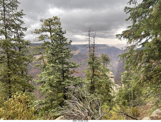 Grand Canyon North Rim - Widforss Trail - vista view - Adam