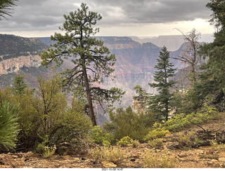 Grand Canyon North Rim - Widforss Trail - vista view - Adam