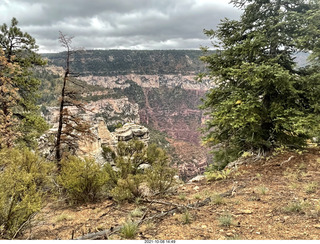 243 a18. Grand Canyon North Rim - Widforss Trail - vista view