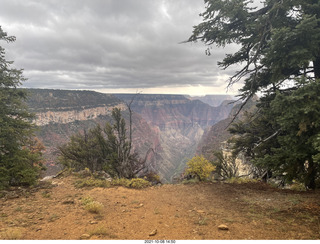 245 a18. Grand Canyon North Rim - Widforss Trail - vista view