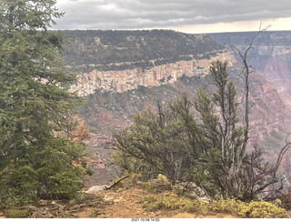 Grand Canyon North Rim - Widforss Trail - vista view