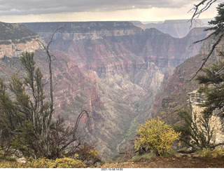 248 a18. Grand Canyon North Rim - Widforss Trail - vista view