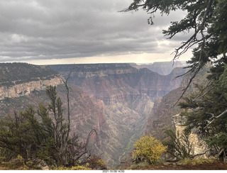 249 a18. Grand Canyon North Rim - Widforss Trail - vista view