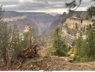 252 a18. Grand Canyon North Rim - Widforss Trail - vista view