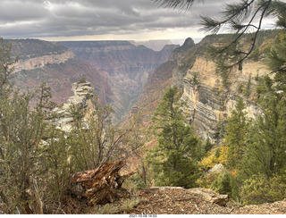 Grand Canyon North Rim - Widforss Trail - vista view - Adam