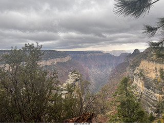 Grand Canyon North Rim - Widforss Trail - vista view