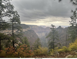 272 a18. Grand Canyon North Rim - Widforss Trail - vista view